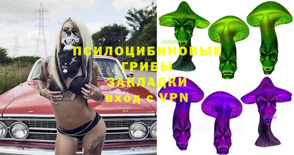 спиды Богородицк