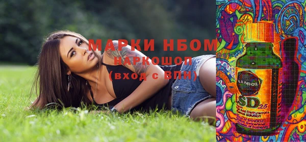 спиды Богородицк
