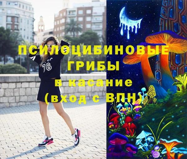 спиды Богородицк