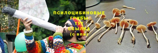 Альфа ПВП Богданович