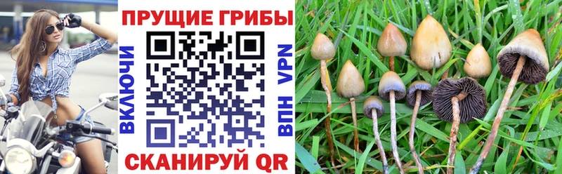 Галлюциногенные грибы прущие грибы  mega зеркало  darknet Telegram  Вуктыл 